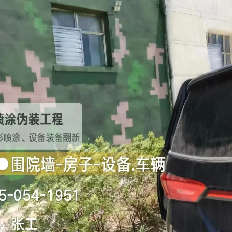 宜春数码迷彩漆施工